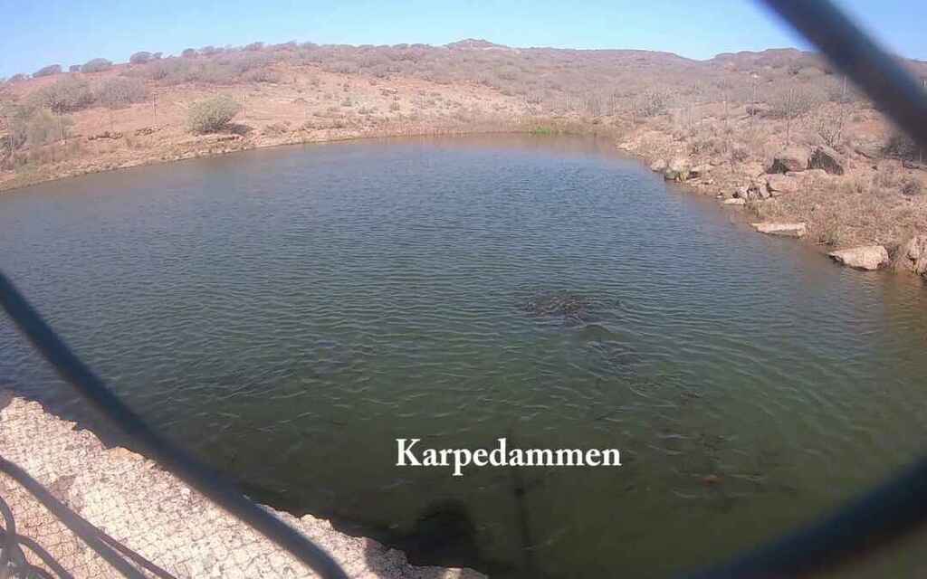 Video: Søndagstur til Karpedammen