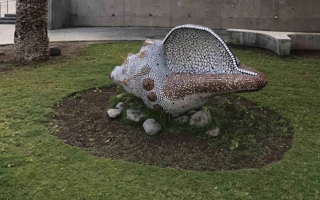 Ting skjer i Arguineguín